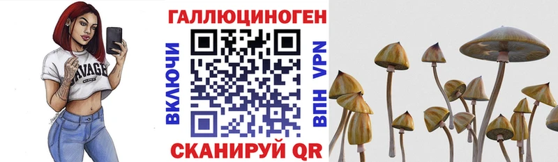 Псилоцибиновые грибы мицелий  где можно купить   Приволжск 